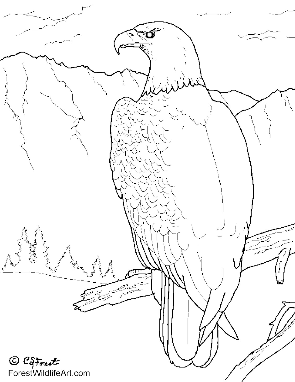 whimsical forest animal coloring pages printable jpg