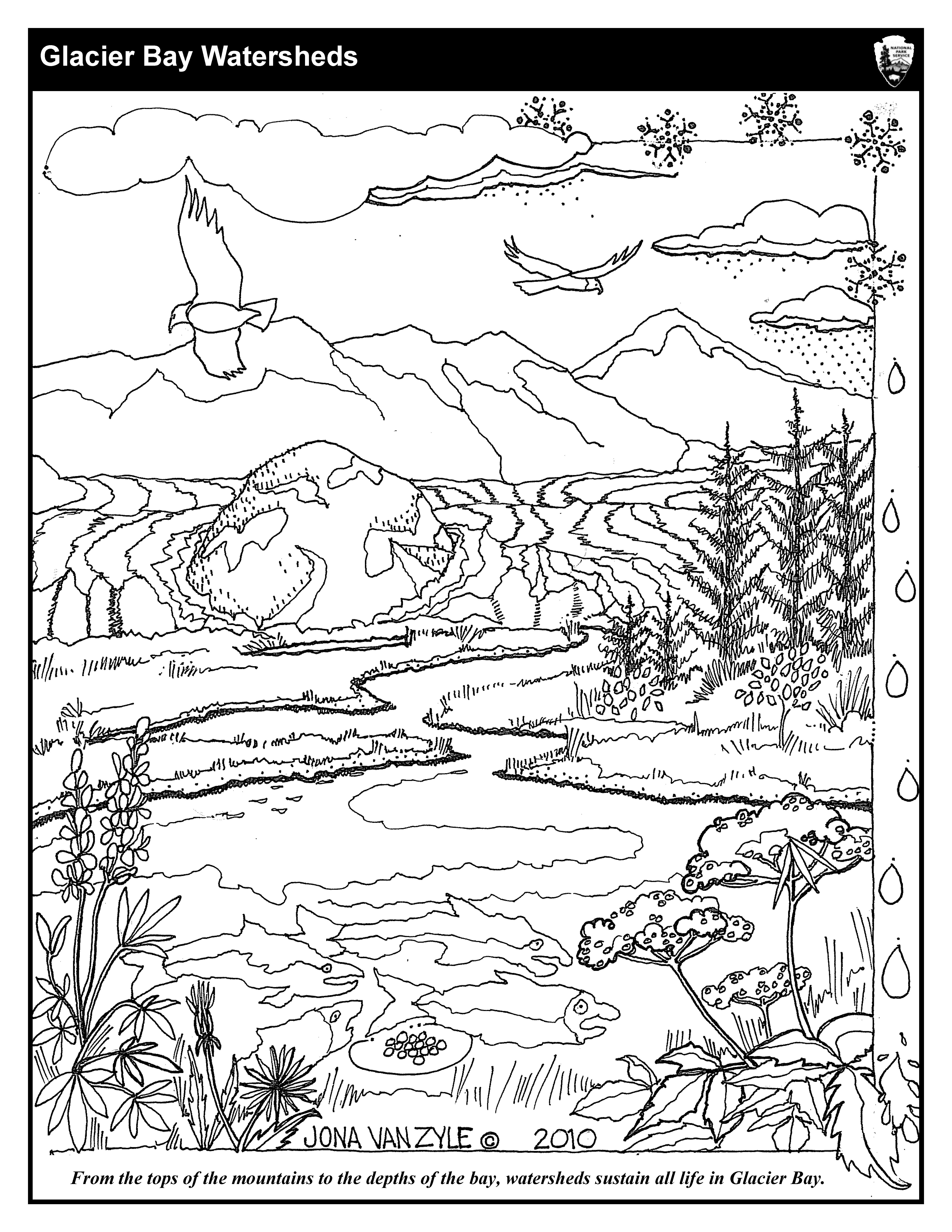 38 Printable Yellowstone National Park Coloring Pages 10