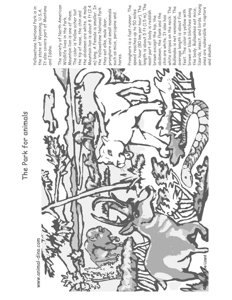 38 Printable Yellowstone National Park Coloring Pages 4