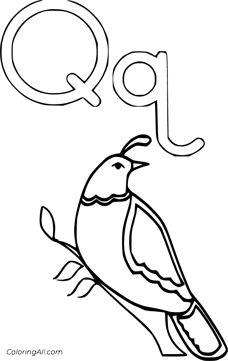 39 Q Coloring Pages for Preschoolers Printable 25