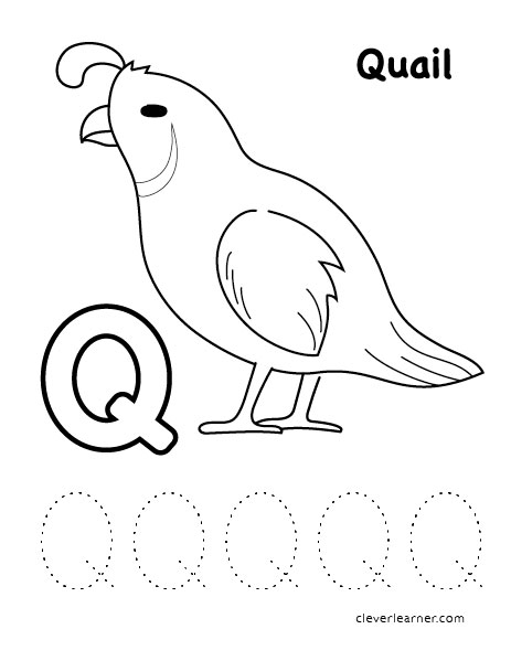 39 Q Coloring Pages for Preschoolers Printable 27