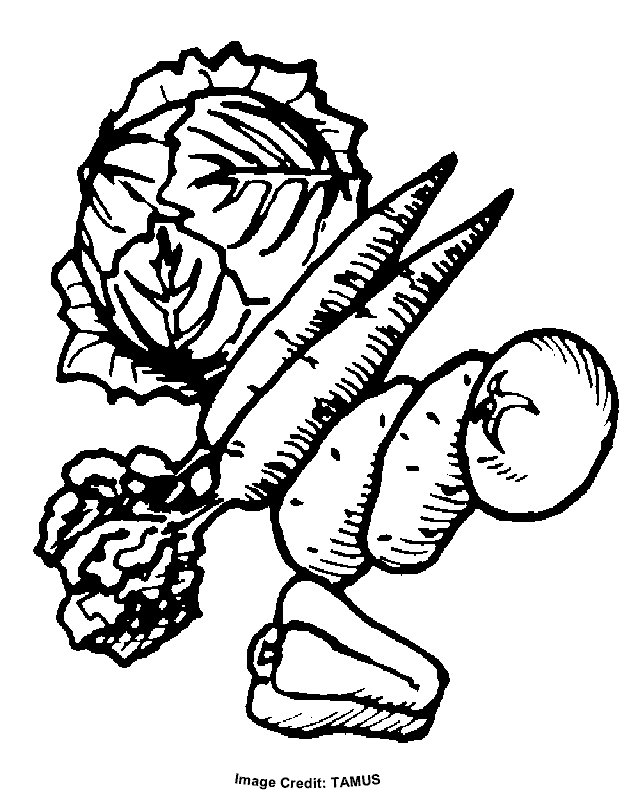 tasty vegetables coloring pages printable jpg