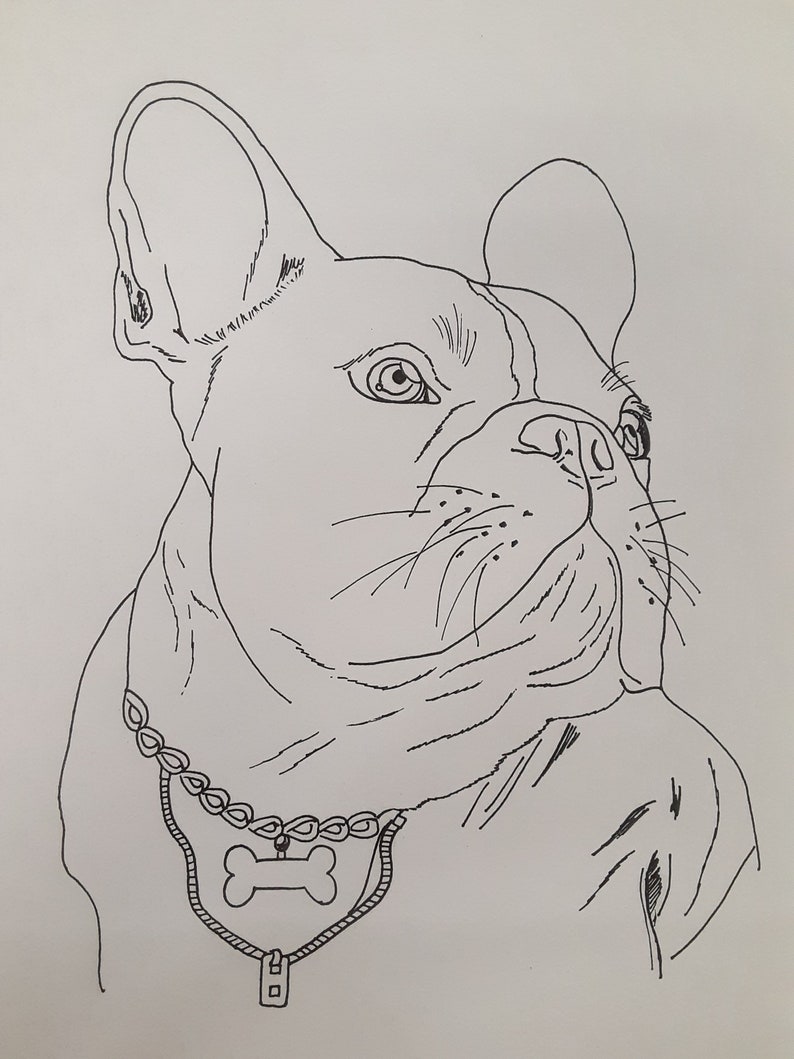 90 French Bulldog Coloring Pages Printable 15