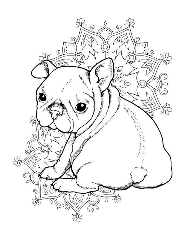 90 French Bulldog Coloring Pages Printable 2