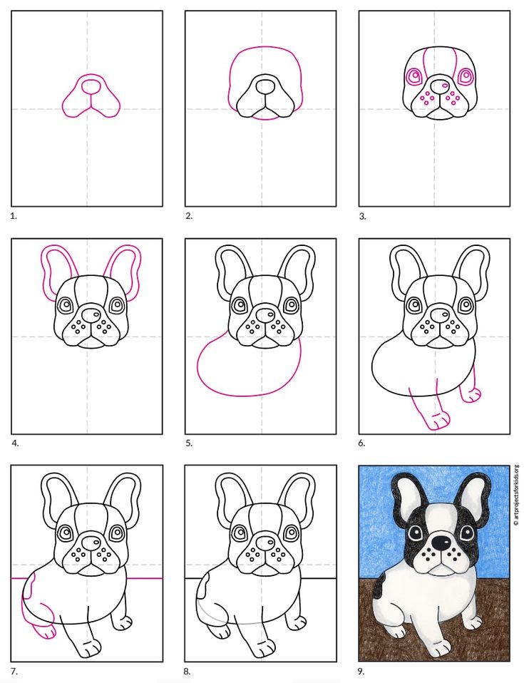 90 French Bulldog Coloring Pages Printable 20