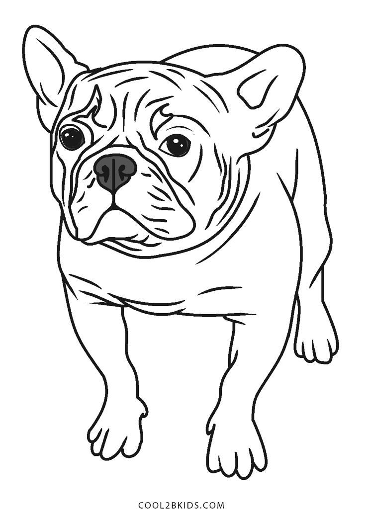 90 French Bulldog Coloring Pages Printable 24