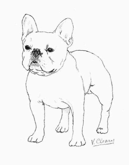 90 French Bulldog Coloring Pages Printable 25