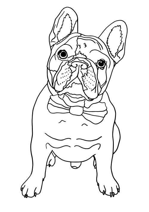 french bulldog coloring pages printable jpg