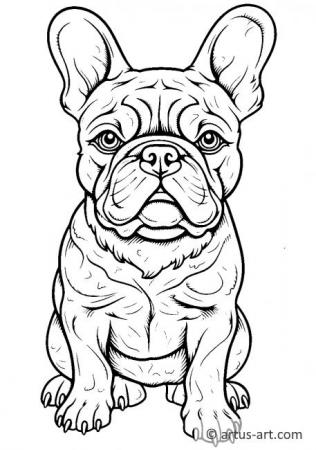 90 French Bulldog Coloring Pages Printable 3