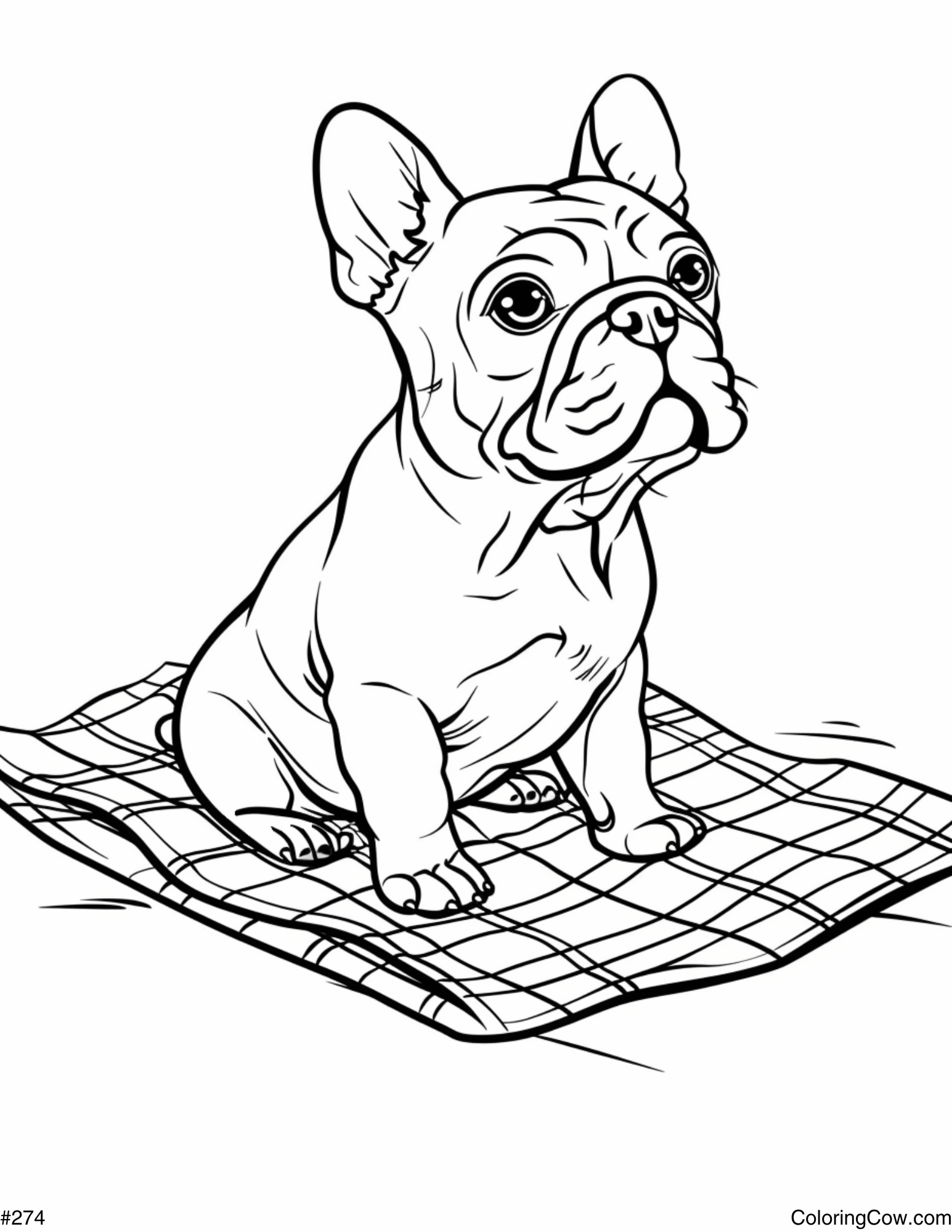 90 French Bulldog Coloring Pages Printable 31