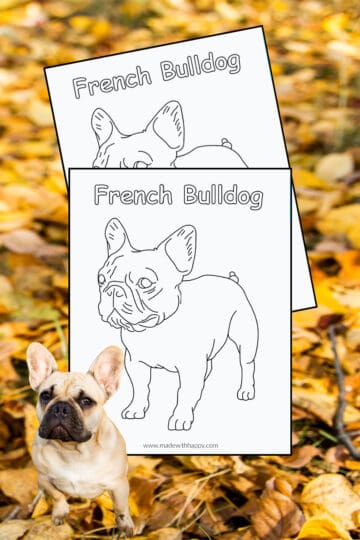 90 French Bulldog Coloring Pages Printable 34