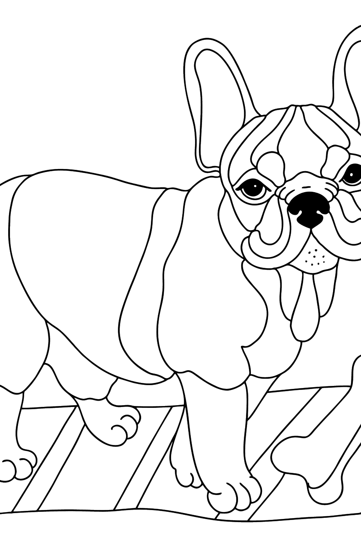 french bulldog coloring pages printable jpg