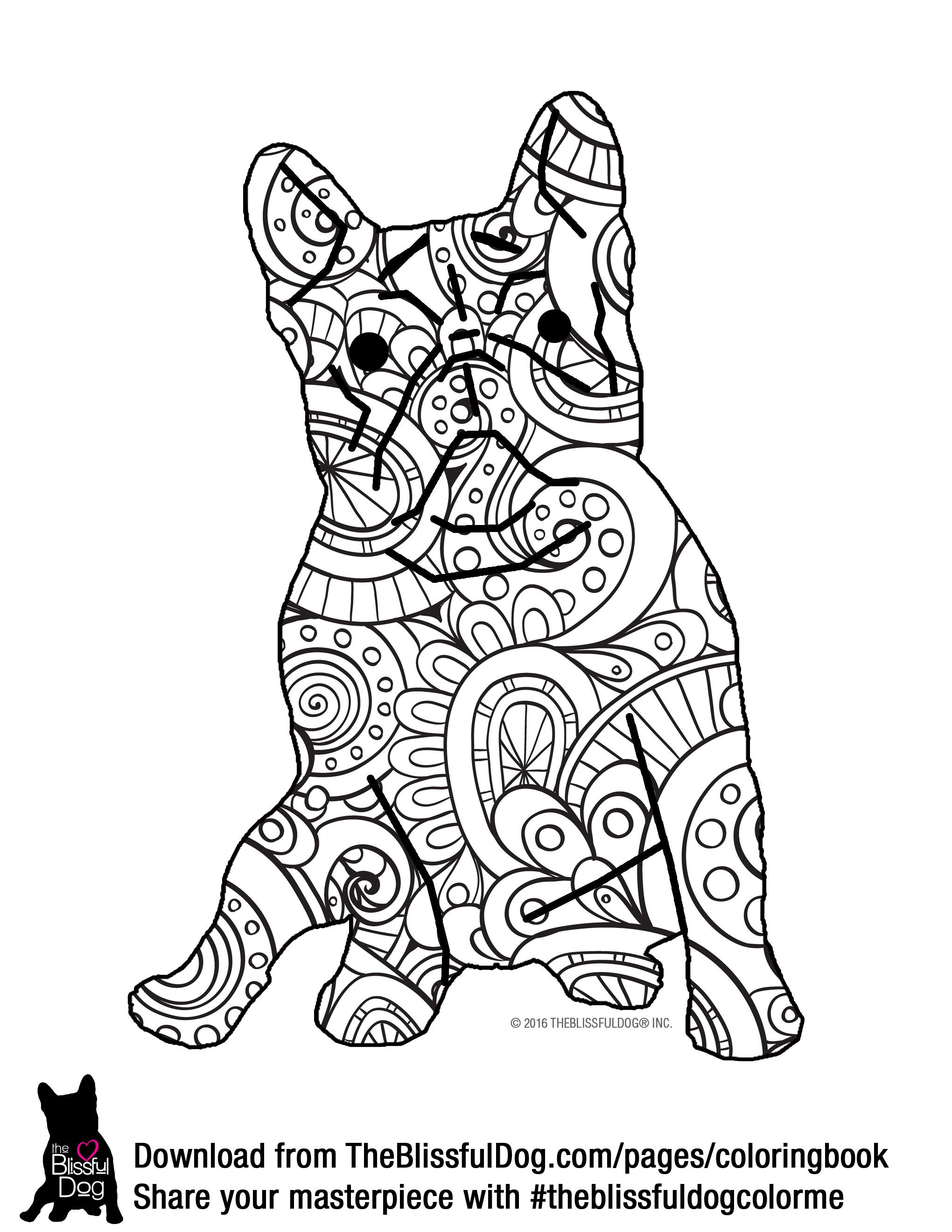 french bulldog coloring pages printable jpg