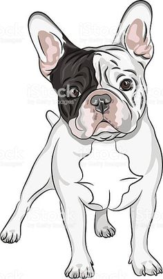 french bulldog coloring pages printable jpg