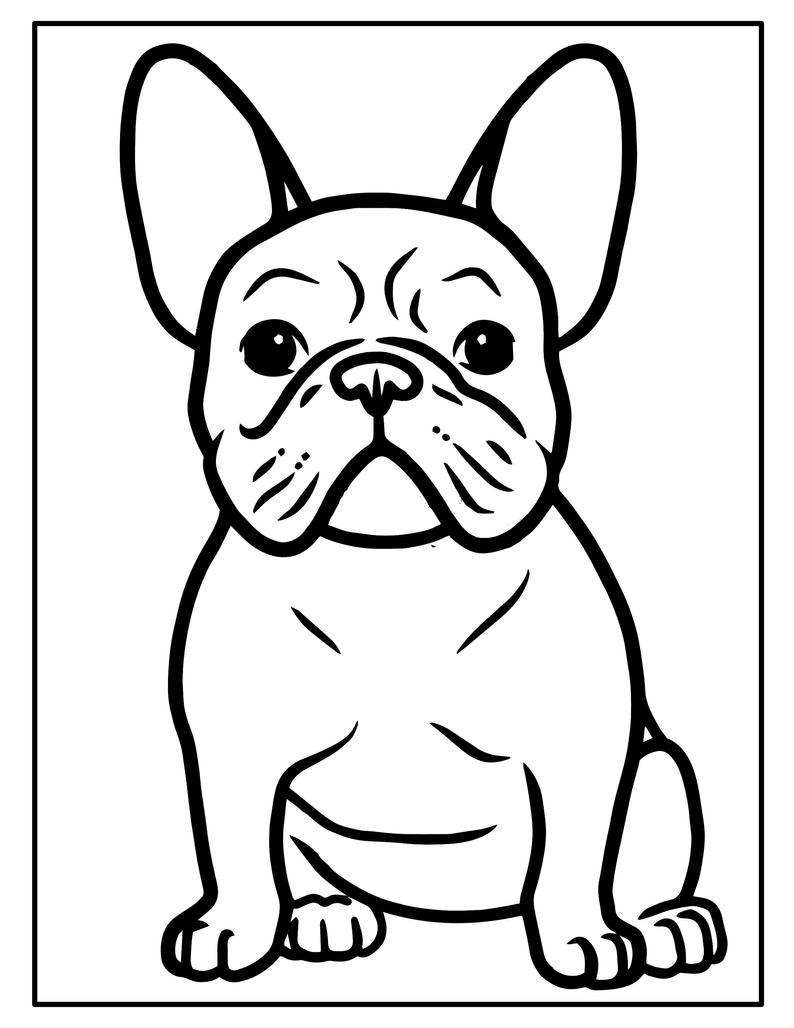 90 French Bulldog Coloring Pages Printable 45