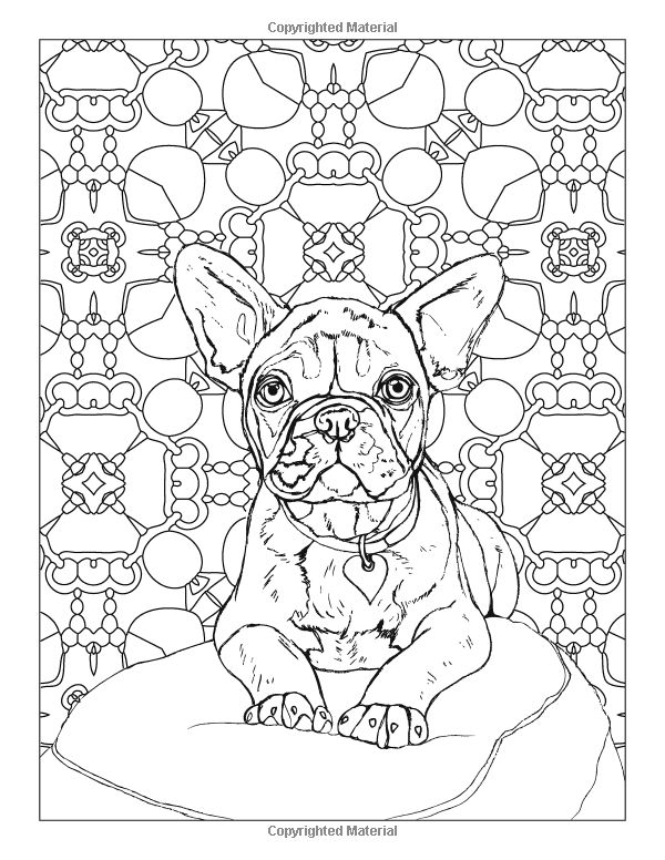 90 French Bulldog Coloring Pages Printable 48