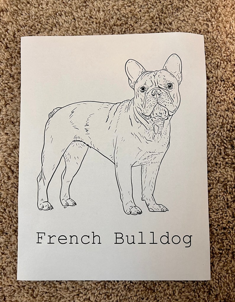 90 French Bulldog Coloring Pages Printable 53