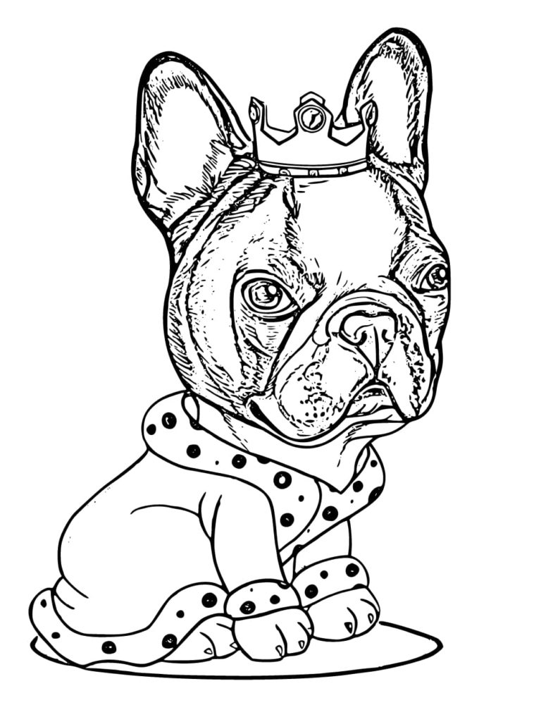 90 French Bulldog Coloring Pages Printable 54