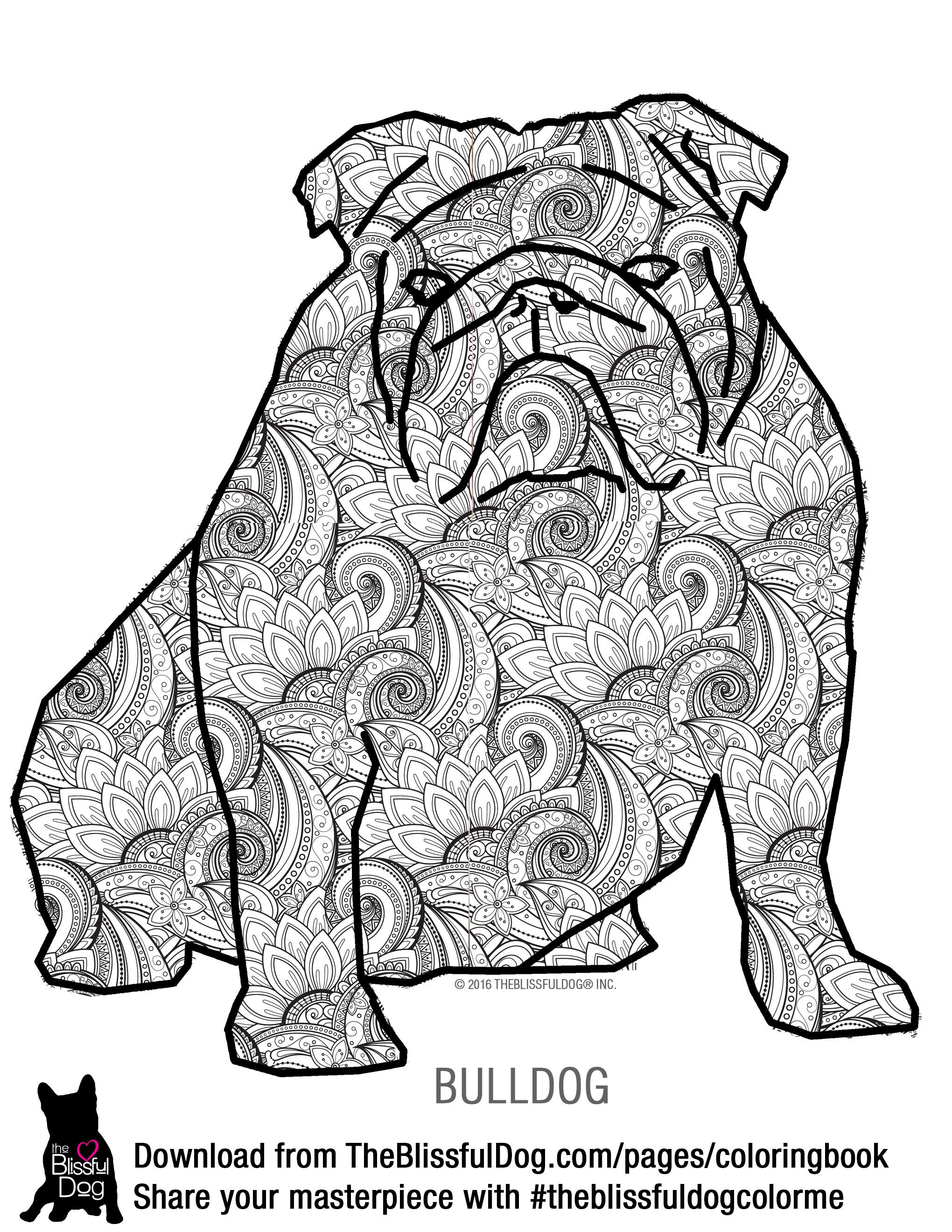 90 French Bulldog Coloring Pages Printable 55