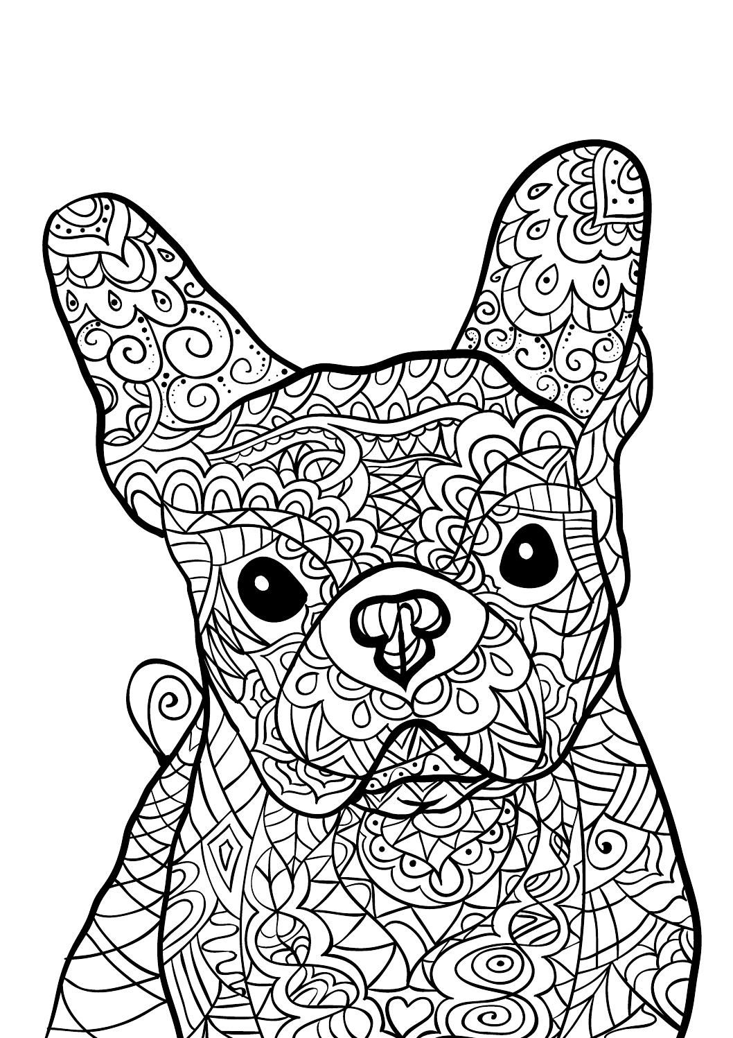 90 French Bulldog Coloring Pages Printable 57