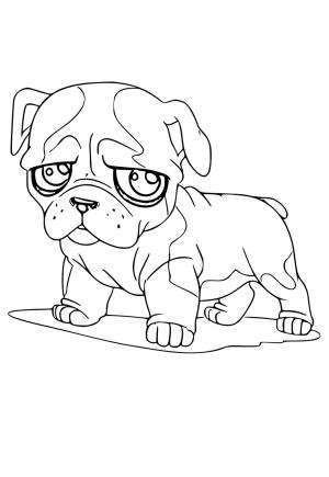 90 French Bulldog Coloring Pages Printable 62