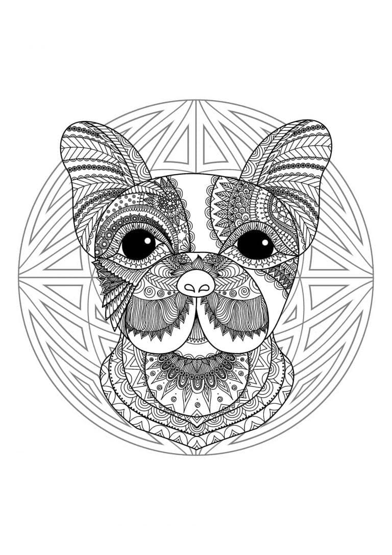 french bulldog coloring pages printable jpg