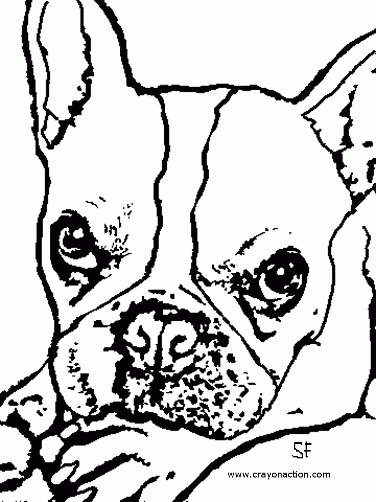 90 French Bulldog Coloring Pages Printable 70