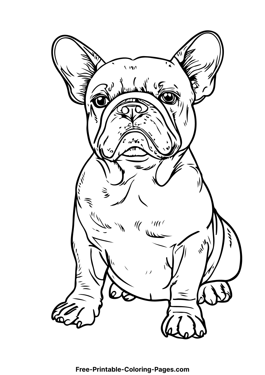 french bulldog coloring pages printable jpg