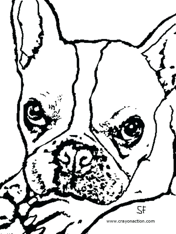 90 French Bulldog Coloring Pages Printable 75