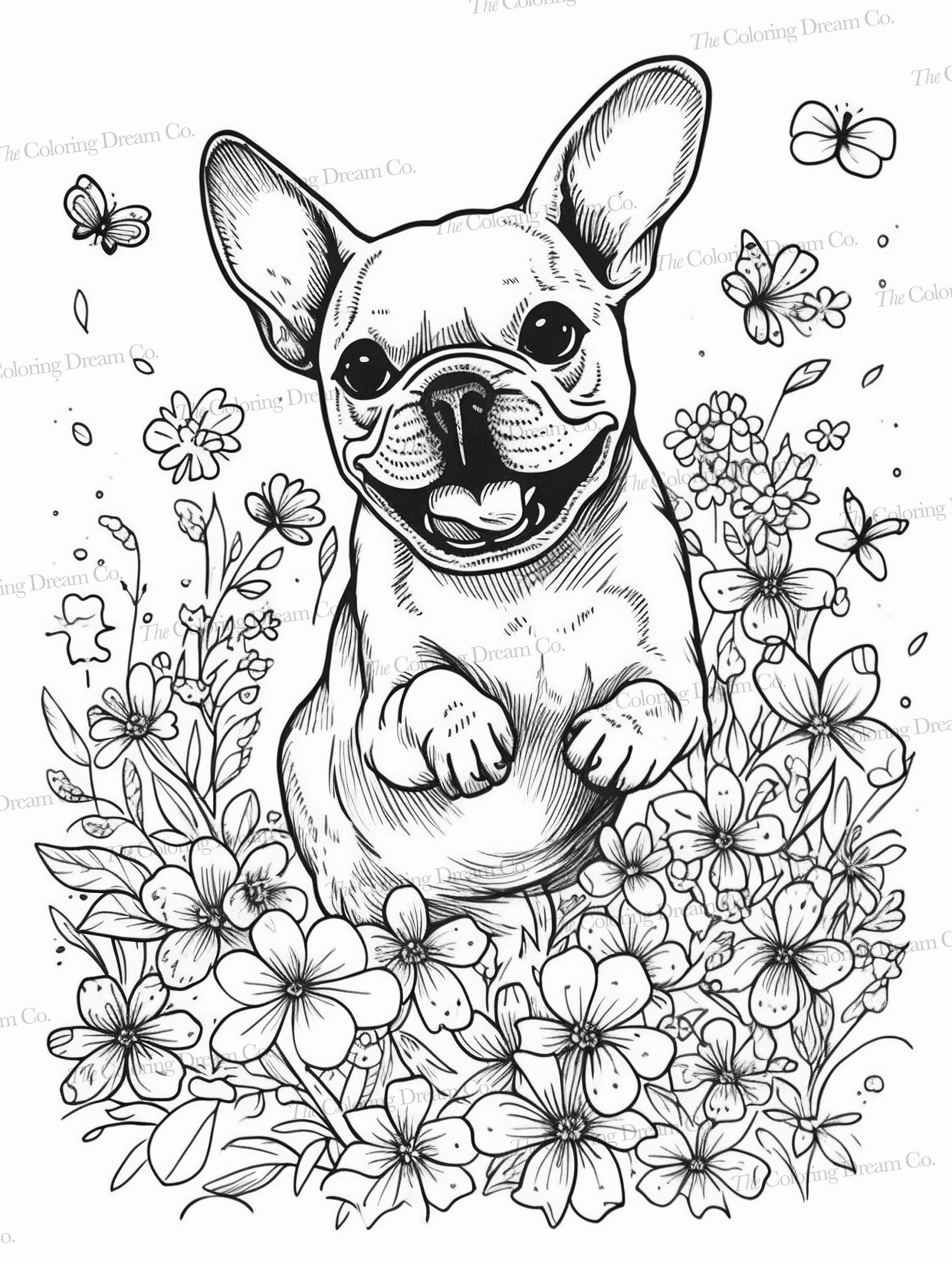 french bulldog coloring pages printable jpg