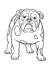 french bulldog coloring pages printable jpg