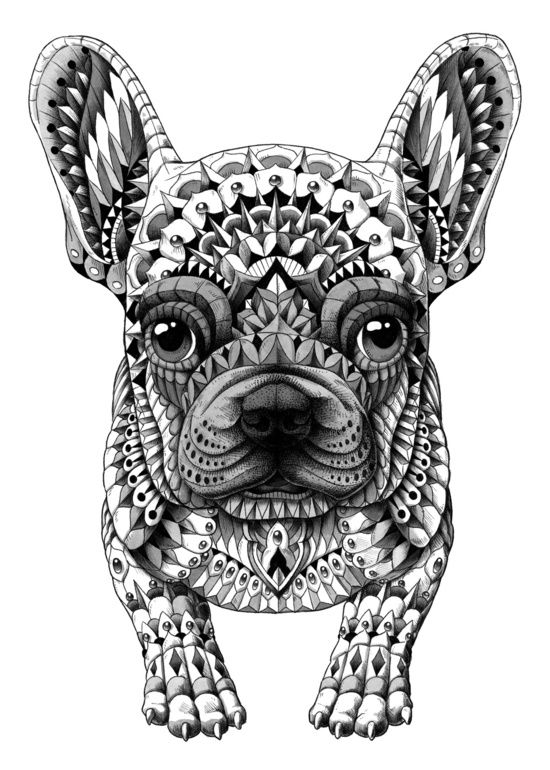 90 French Bulldog Coloring Pages Printable 82