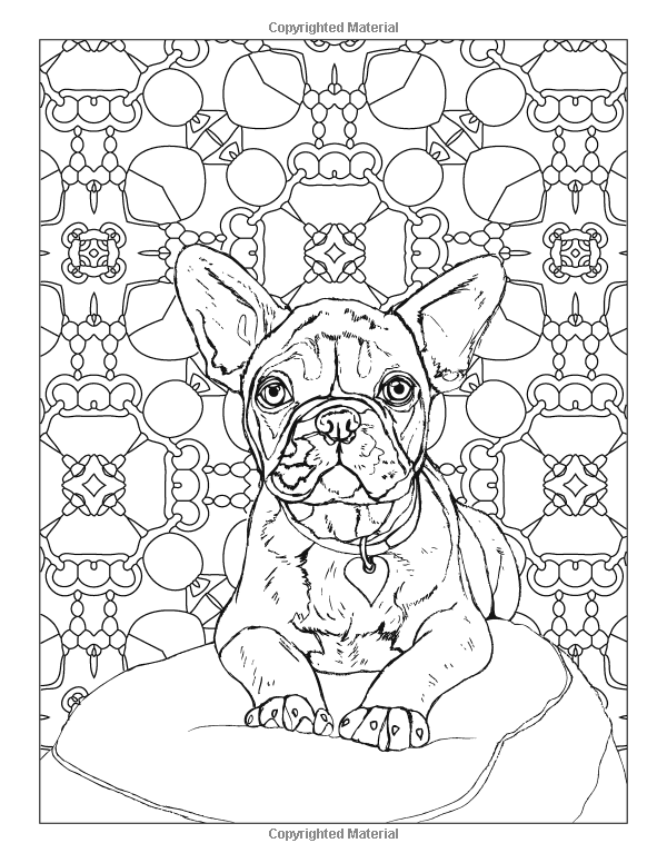 french bulldog coloring pages printable jpg