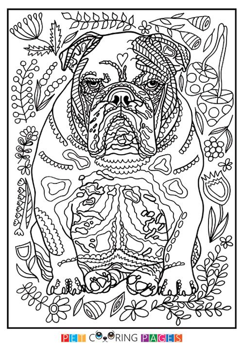 french bulldog coloring pages printable jpg