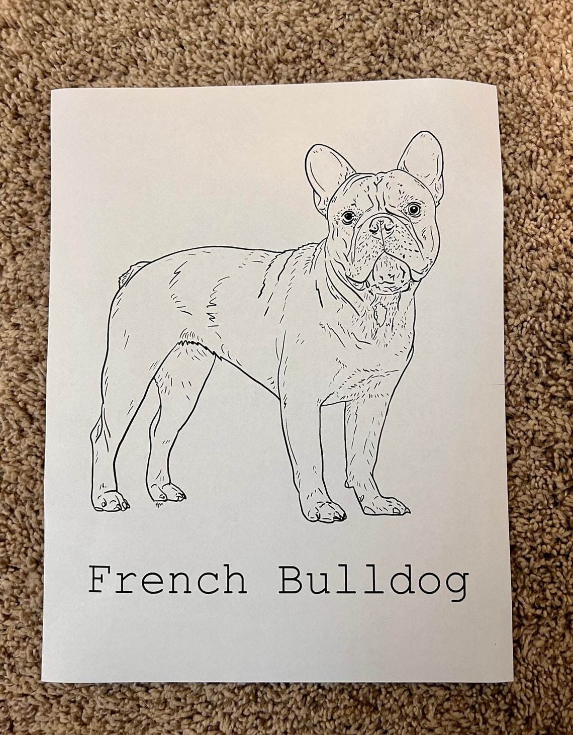 90 French Bulldog Coloring Pages Printable 97