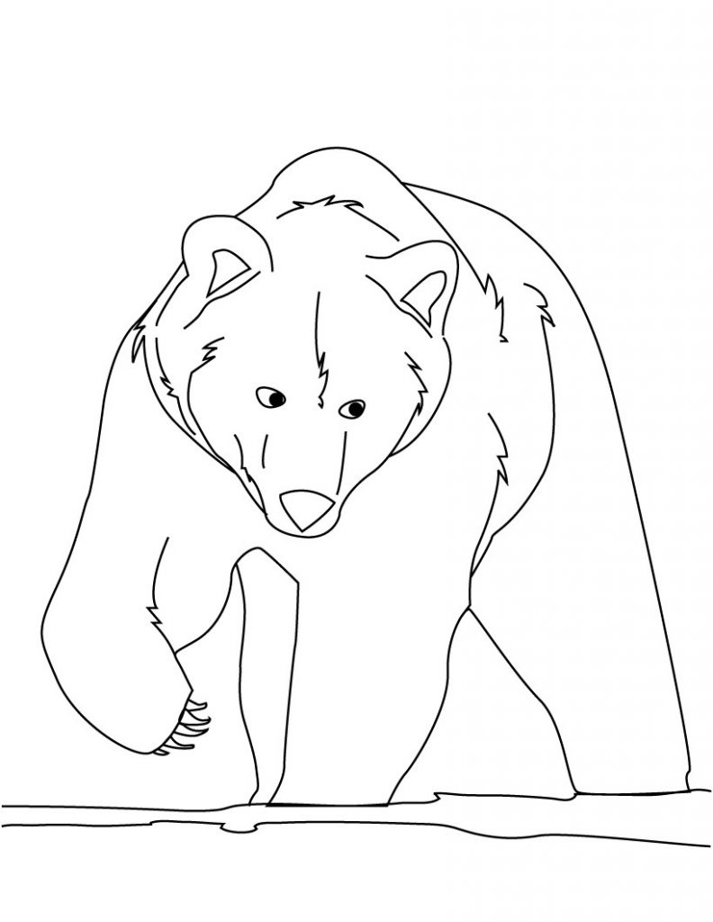 little bear coloring pages printable jpg