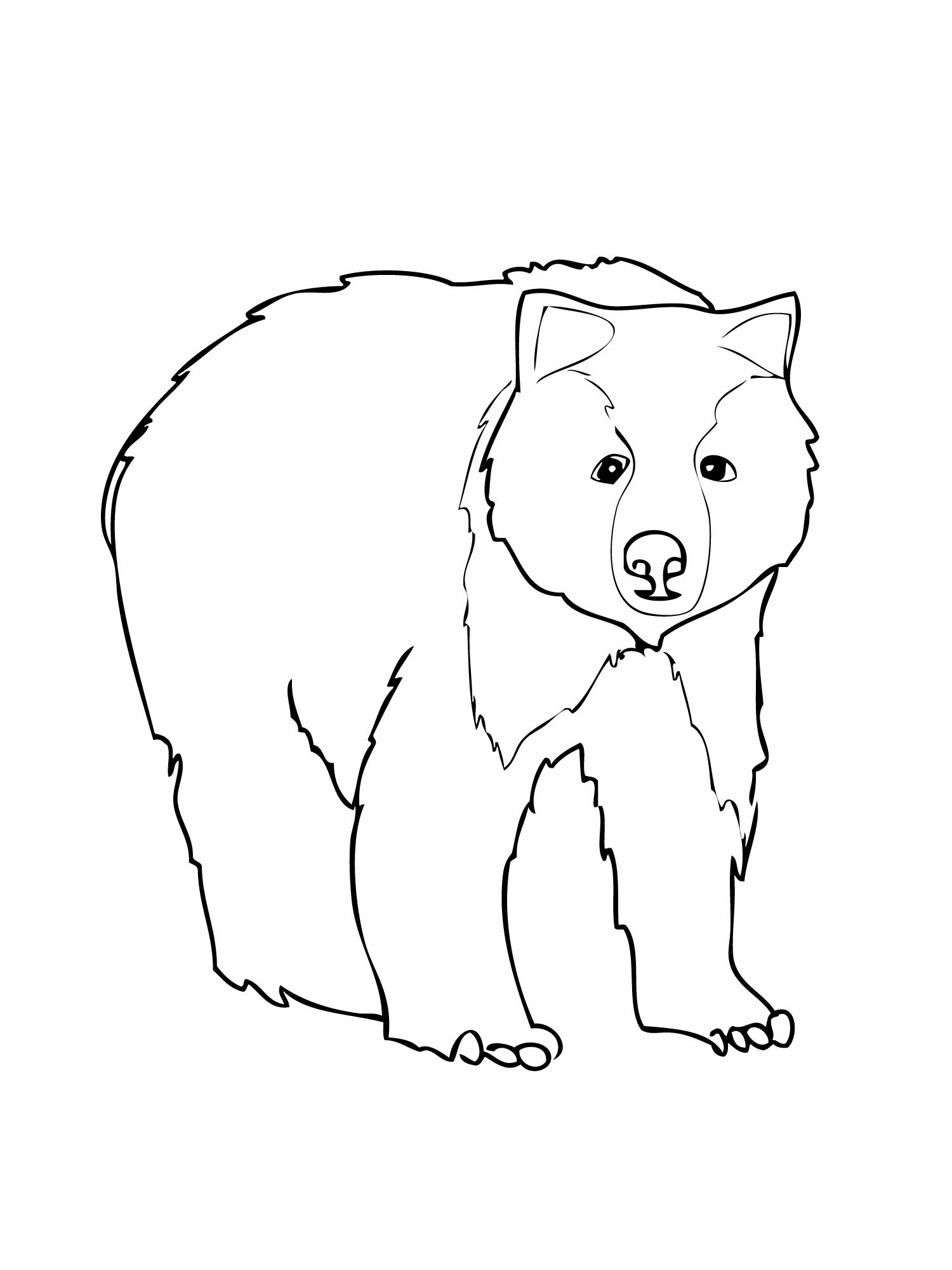 95 Little Bear Coloring Pages Printable 55