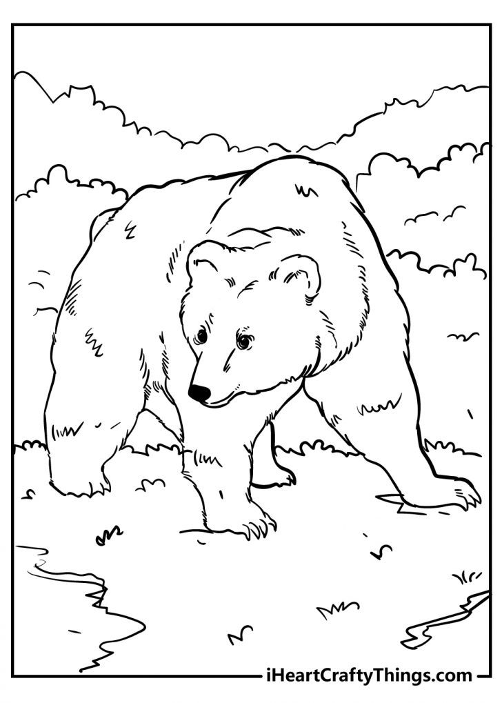 little bear coloring pages printable jpg