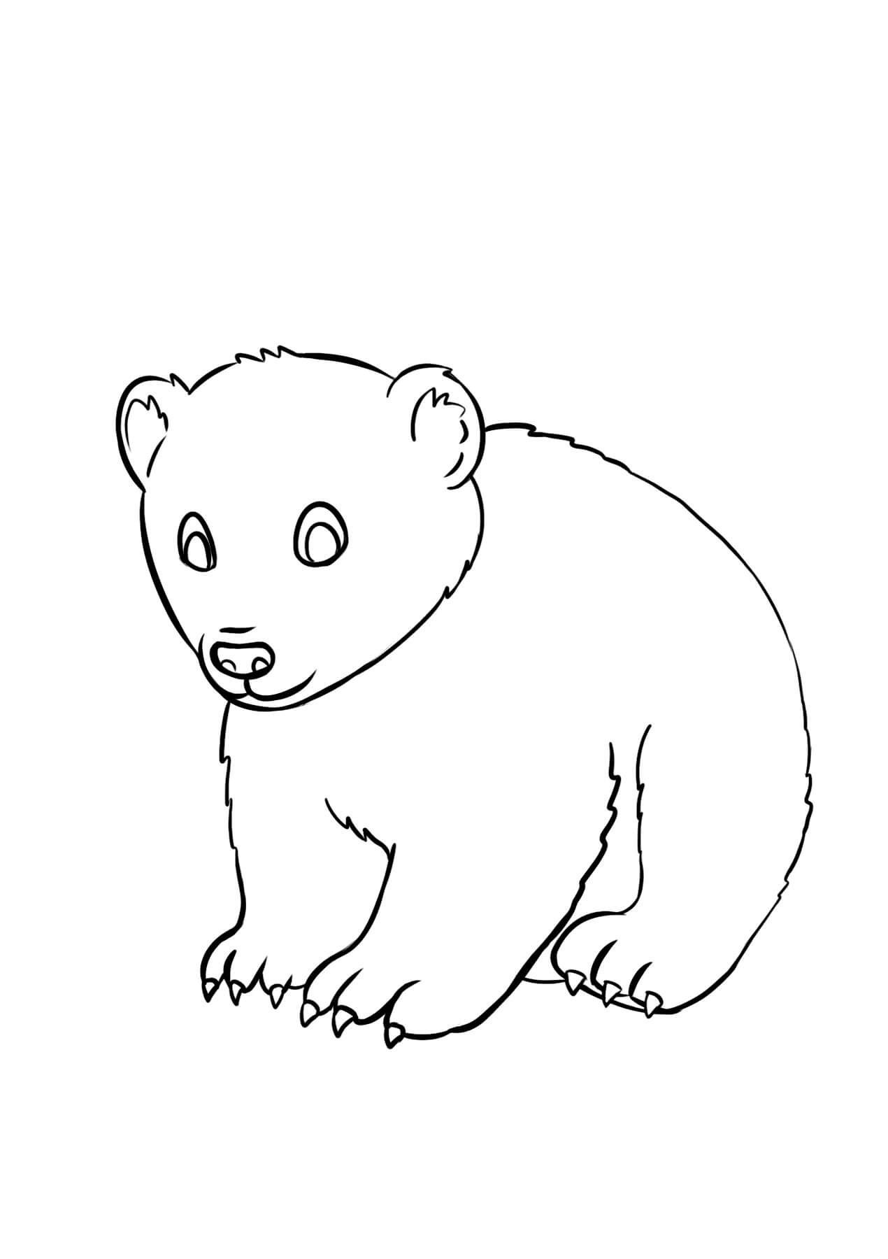 little bear coloring pages printable jpg