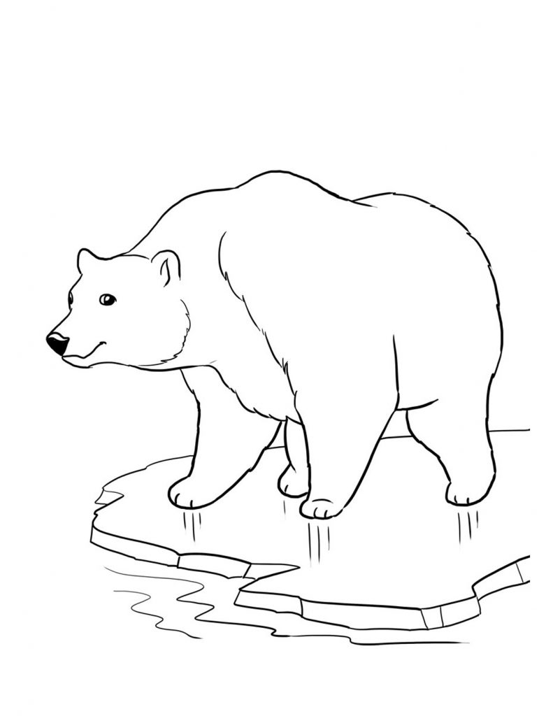 95 Little Bear Coloring Pages Printable 78