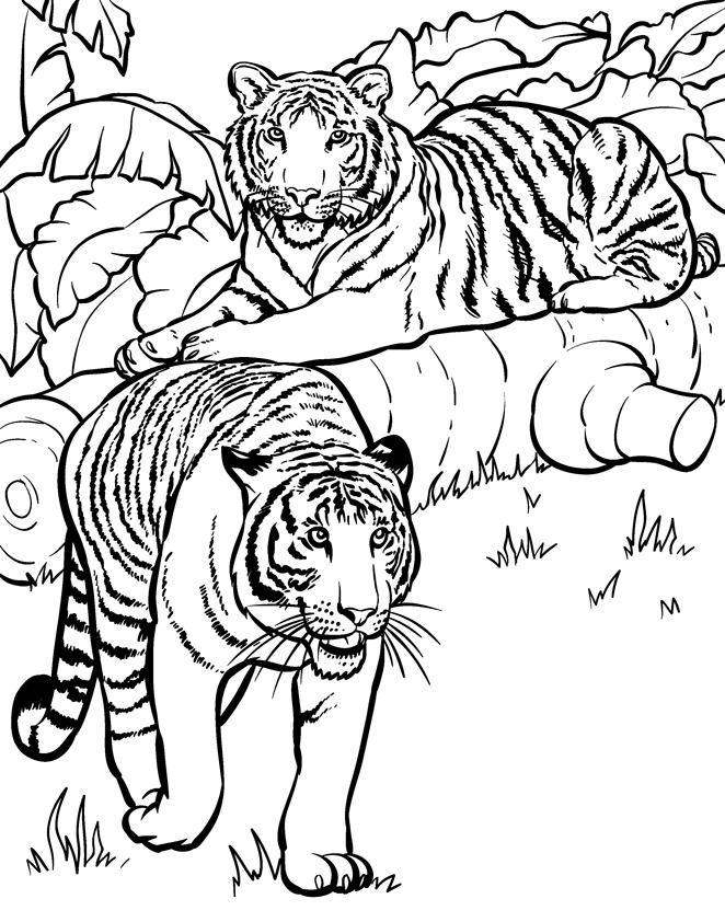 46+ Vibrant Highly Detailed Coloring Pages Printable