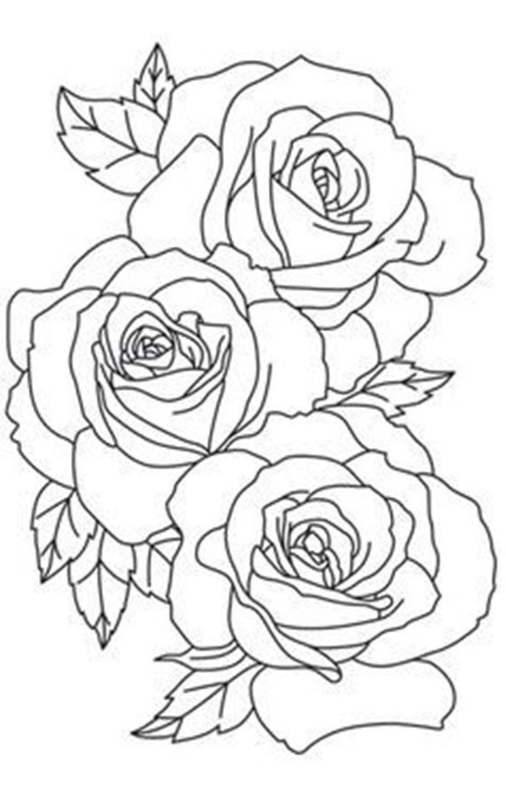 144+ Unique Detailed Rose Coloring Pages Printable