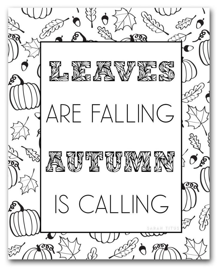 34 Fall Coloring Pages Free PDF Printable 11