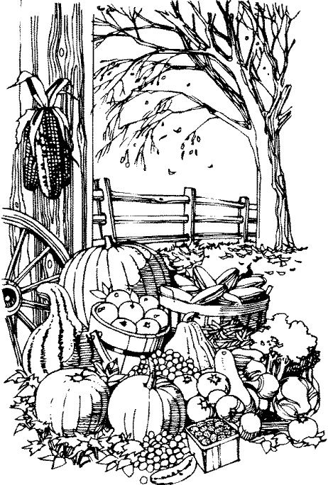 34 Fall Coloring Pages Free PDF Printable 20