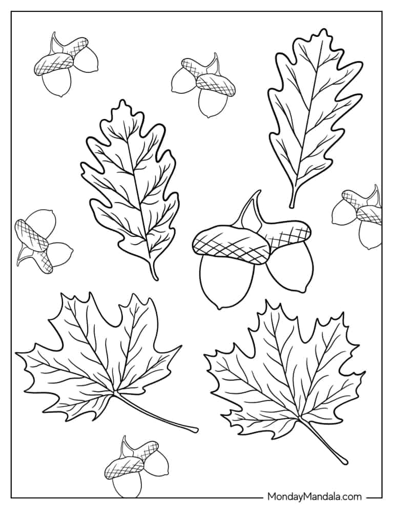 34 Fall Coloring Pages Free PDF Printable 21