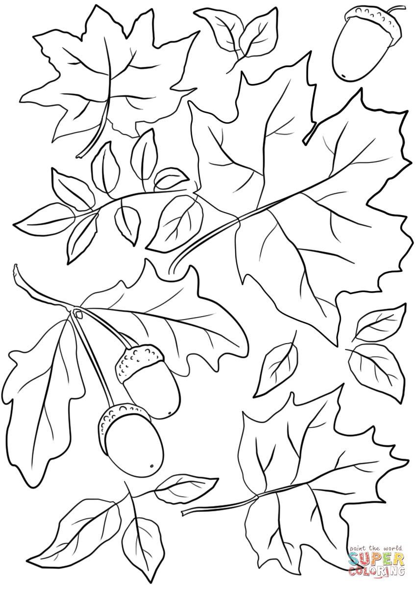 fall coloring pages free pdf printable jpg