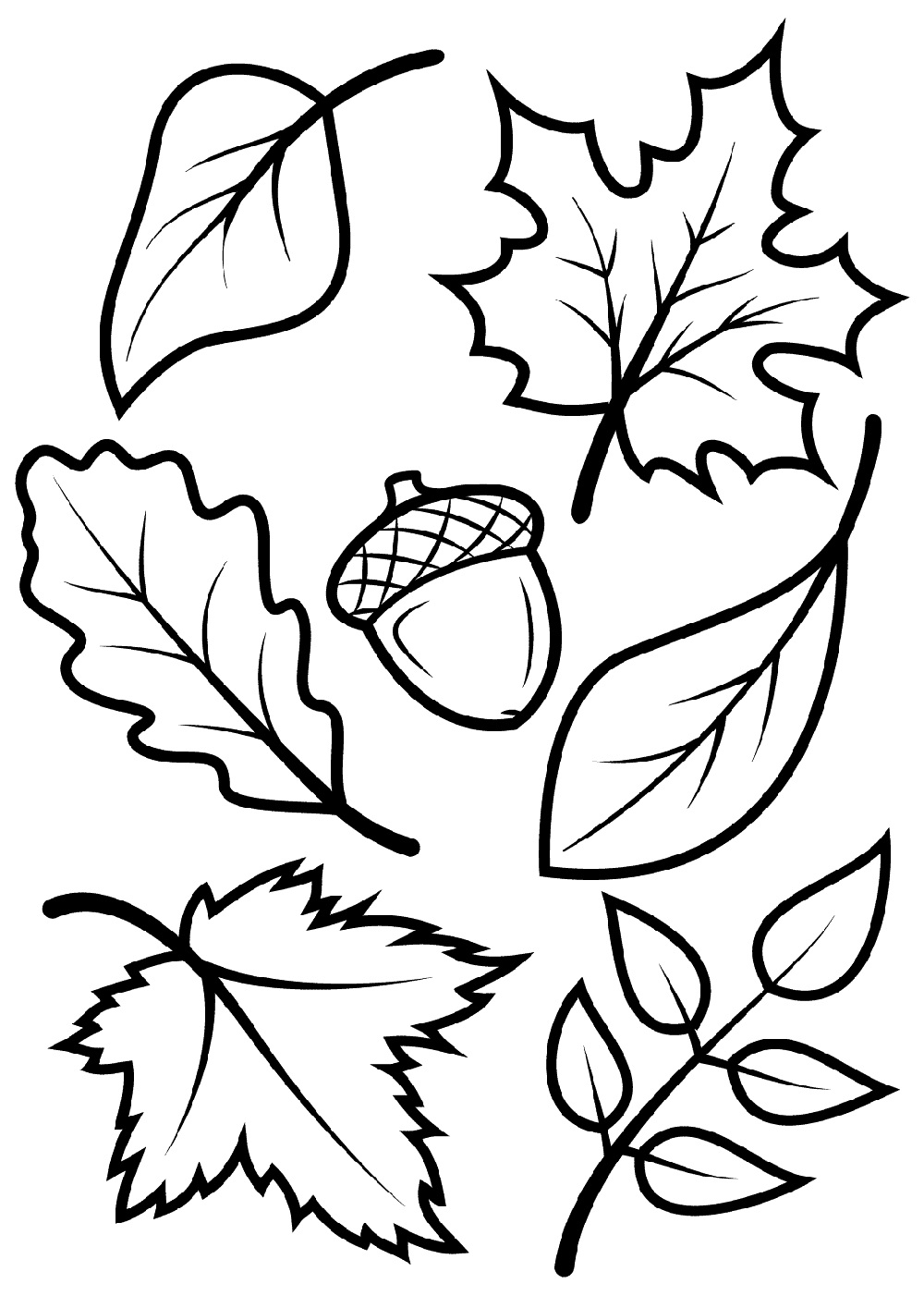 34 Fall Coloring Pages Free PDF Printable 5