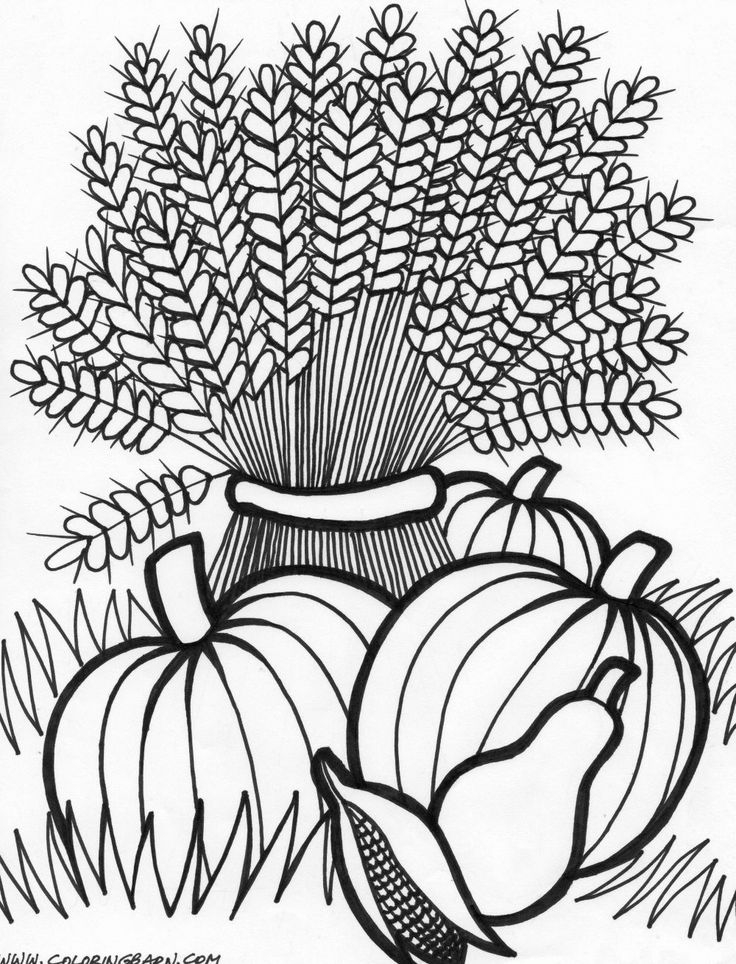 fall coloring pages free pdf printable jpg