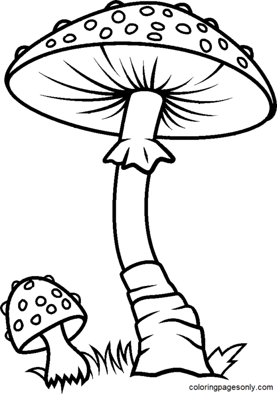 36 Whimsical Mushroom Coloring Pages Printable 16