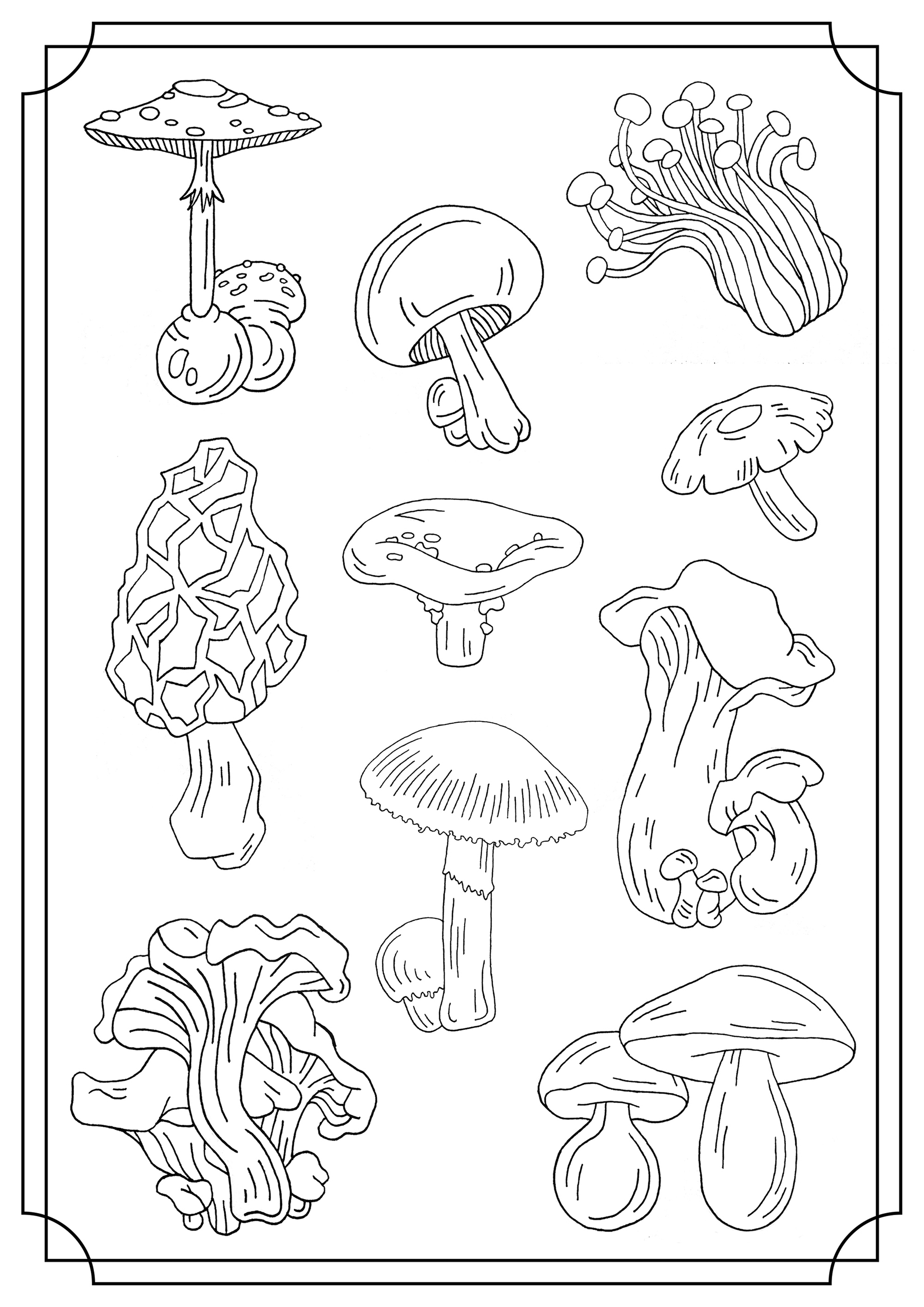 36 Whimsical Mushroom Coloring Pages Printable 25